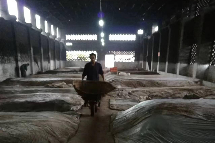 牛灘28口窖池始建于1984年，近40年老窖池